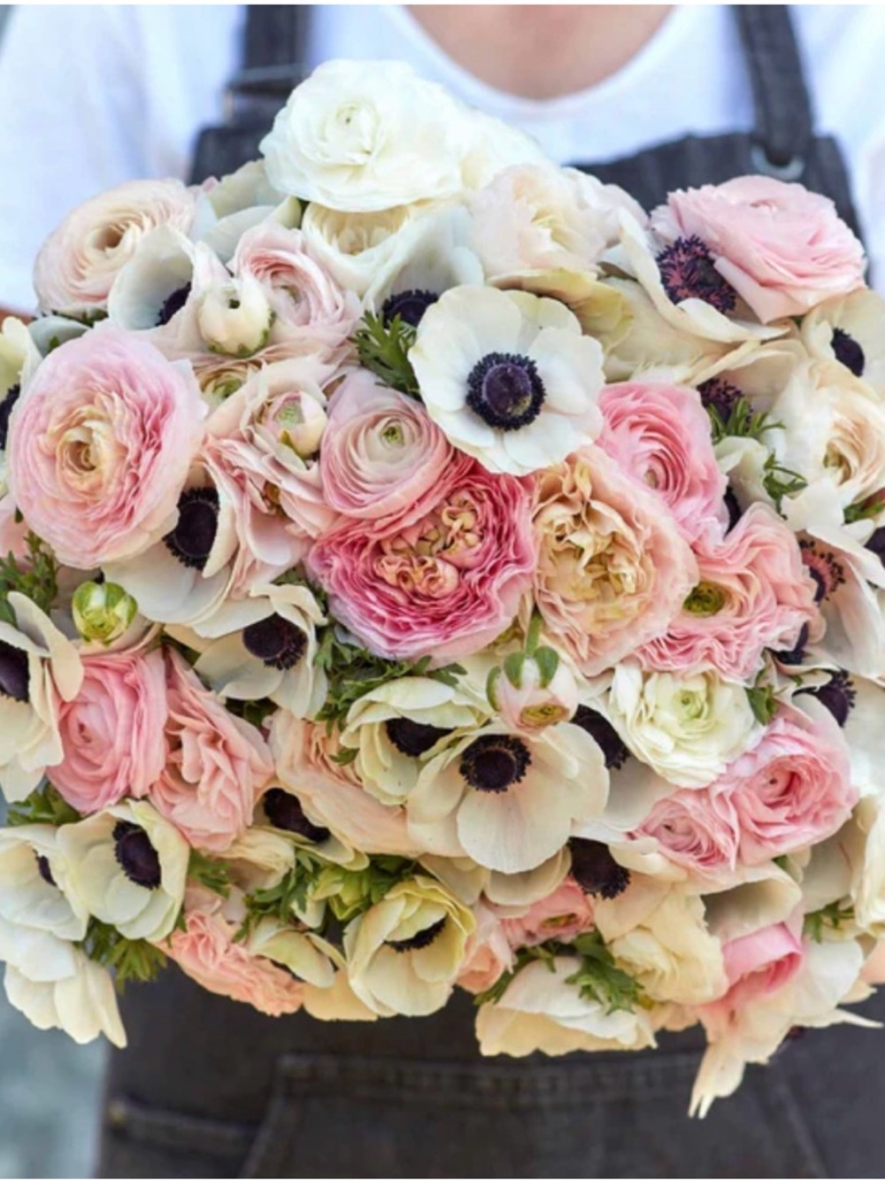 Meet your Posher, Bethany